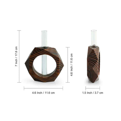 Honeycomb Glass Garden' Test Tube Table Planter/Vase (7 Inch | Dark Brown)