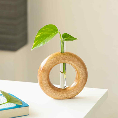 Roundabout Glass Garden' Test Tube Table Planter/Vase (7 Inch | Light Brown)