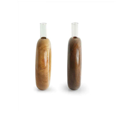 Roundabout Glass Garden' Test Tube Table Planters/Vases (7 Inch | Set of 2)
