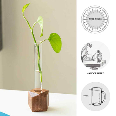 Rhombus Glass Garden' Test Tube Table Planter/Vase (10 Inch | Dark Brown)