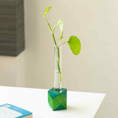 Rhombus Glass Garden' Test Tube Table Planter/Vase (10 Inch | Green)