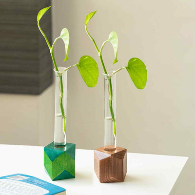 Rhombus Glass Garden' Test Tube Table Planters/Vases (10 Inch | Set of 2)