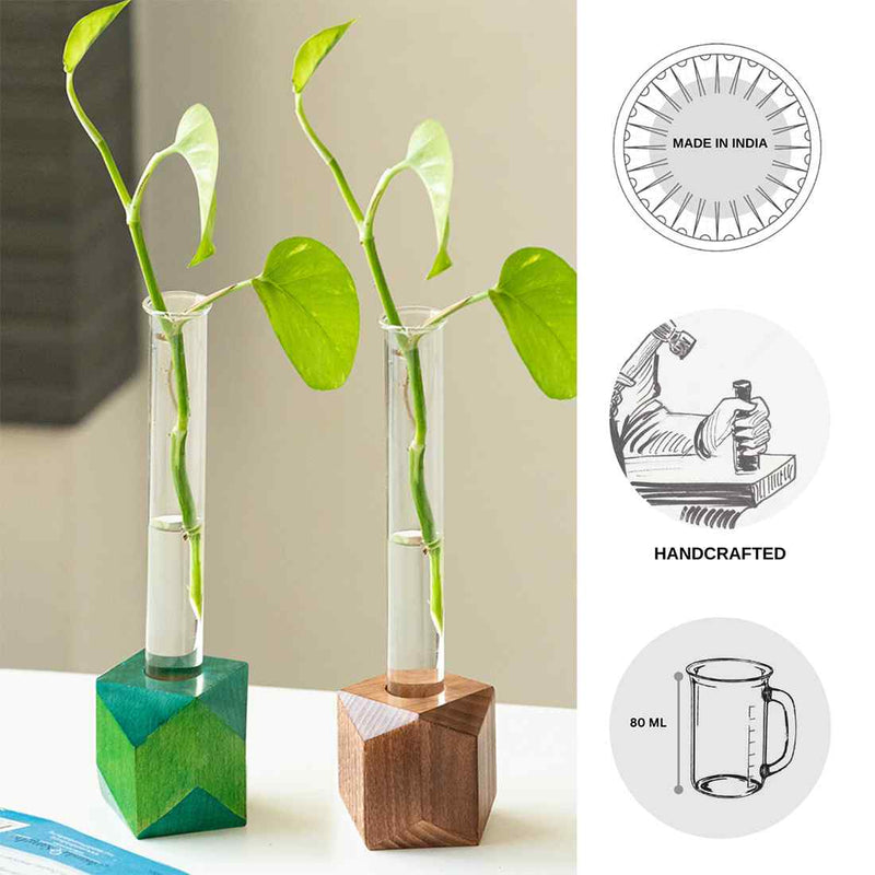 Rhombus Glass Garden&