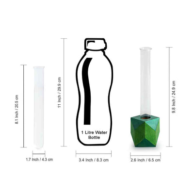 Rhombus Glass Garden' Test Tube Table Planters/Vases (10 Inch | Set of 2)