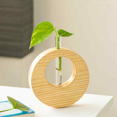 Pine Ring Glass Garden' Test Tube Table Planter/Vase (9 Inch | Light Brown)