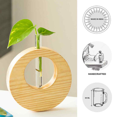 Pine Ring Glass Garden' Test Tube Table Planter/Vase (9 Inch | Light Brown)