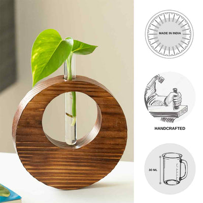 Pine Ring Glass Garden' Test Tube Table Planter/Vase (9 Inch | Dark Brown)