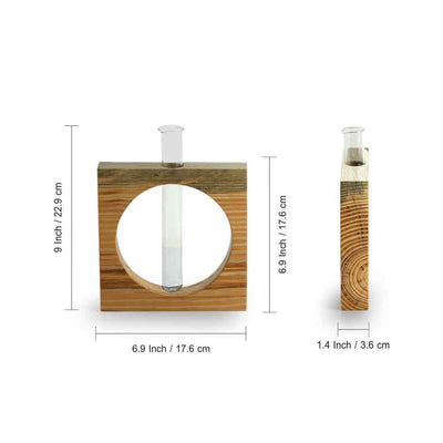 Carved Circle Glass Garden' Test Tube Table Planter/Vase (9 Inch | Light Brown)