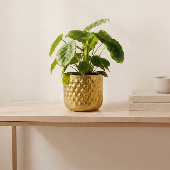 Golden Serenity' Round Decorative Metal Planter (Metal, Hand-Hammered, 17 cm)