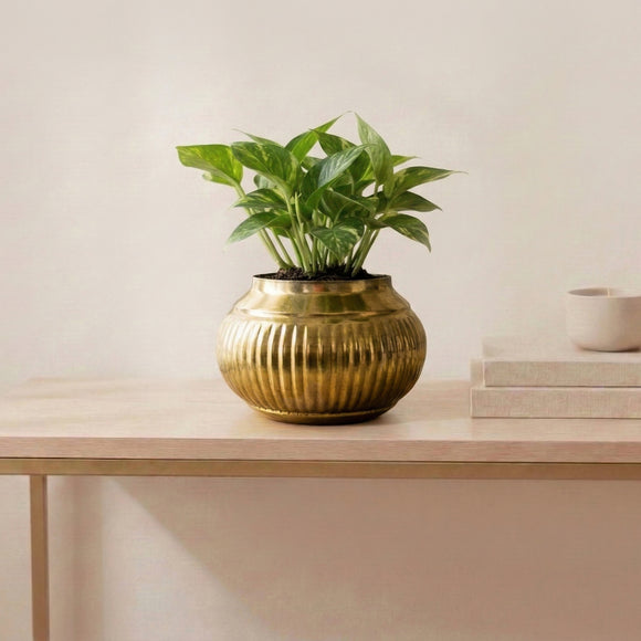 Golden Amphora' Decorative Metal Planter (Metal, Hand-Hammered, 17.3 cm)