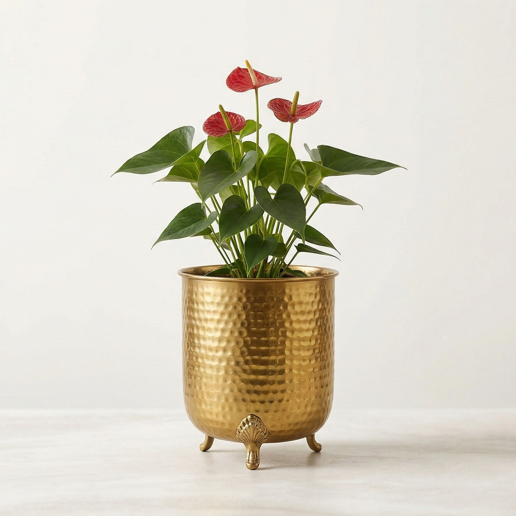 Golden Throne&
