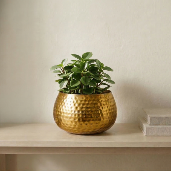 Golden Honeycomb' Decorative Metal Planter (Metal, Hand-Hammered, 18.5 cm)