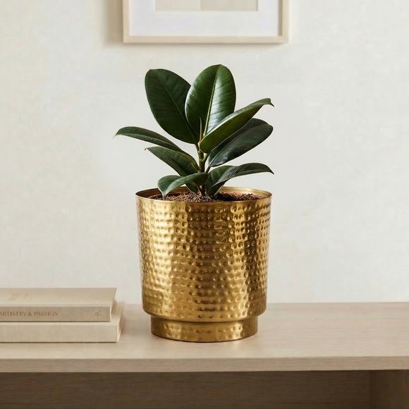 Golden Heights' Decorative Metal Planter (Metal, Hand-Hammered, 20.5 cm)