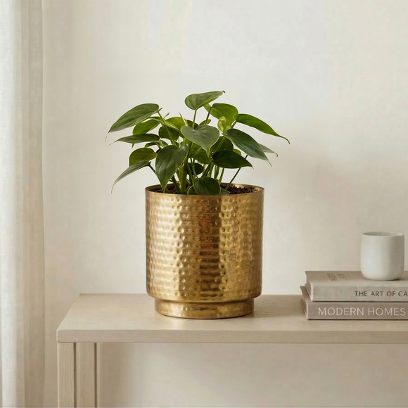 Golden Curve' Decorative Metal Planter (Metal, Hand-Hammered, 17.8 cm)