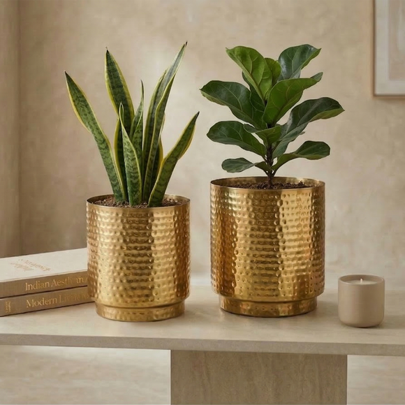 Golden Royale' Decorative Ribbed Metal Planters (Set of 2, Metal, Hand-Hammered, 20.5 cm)