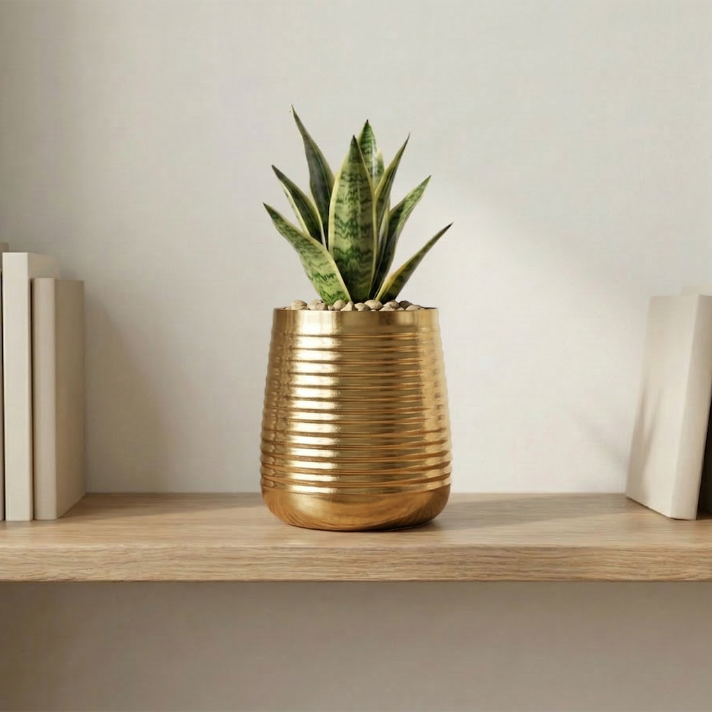 Golden Radiance&