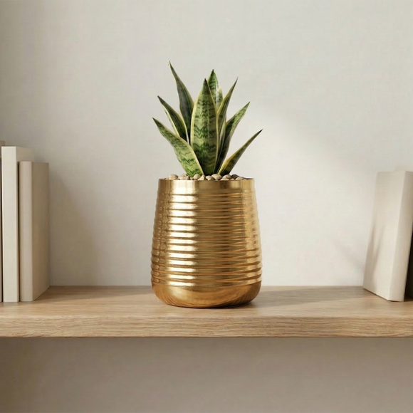 Golden Radiance' Decorative Ribbed Metal Planter (Metal, Hand-Hammered, 17.5 cm)
