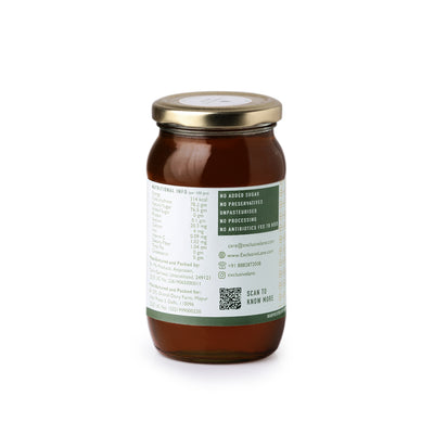 Natural Forest Honey' (Multi-Floral | 500g)