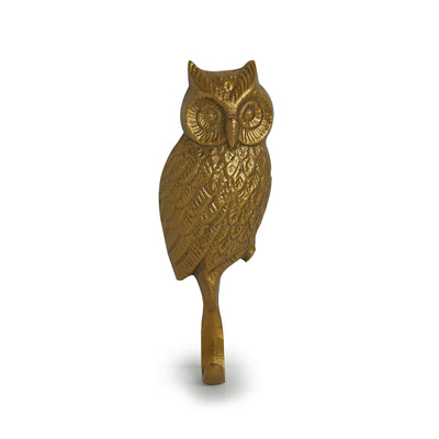 The Ever-Wise Owl' Rustic Aluminium Wall Decor & Wall Hook (8 Inch)