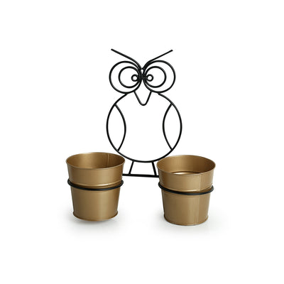 The Owl Buckets' Wall Planter Pots In Galvanized Iron (Set of 2)