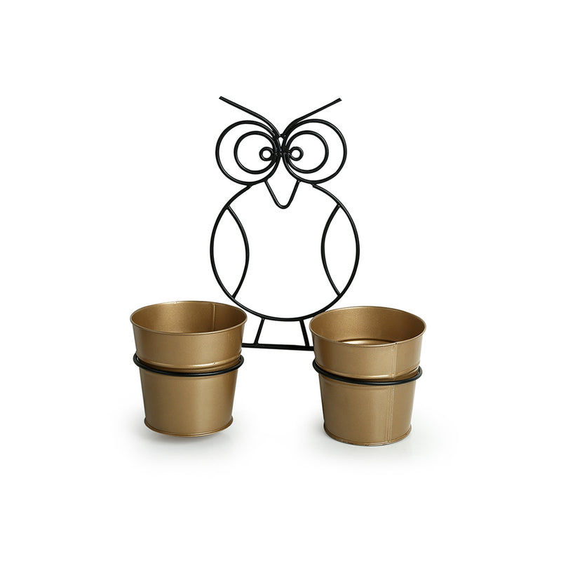 The Owl Buckets&