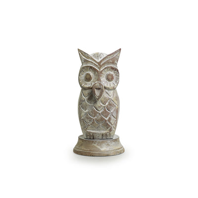 'The Snowy Owl ' Hand-Painted Spectacle Holder Cum Showpiece In Wood