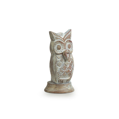 'The Snowy Owl ' Hand-Painted Spectacle Holder Cum Showpiece In Wood